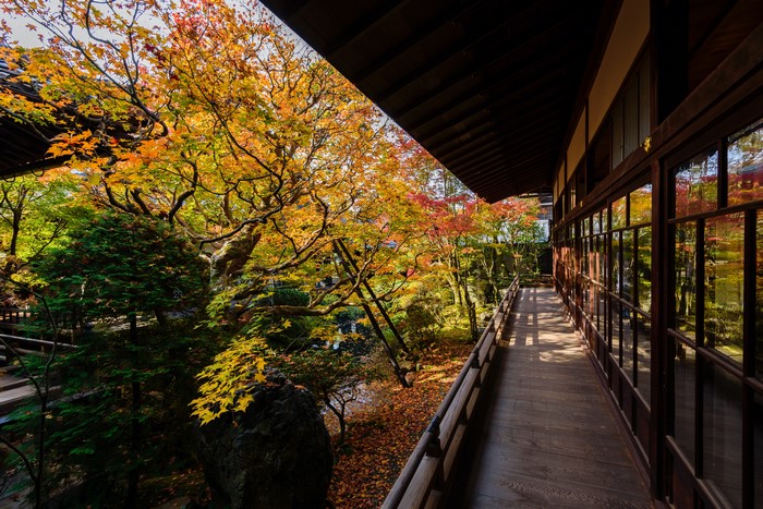 4K, city, nature, Asian architecture, Japanese Garden, Japan