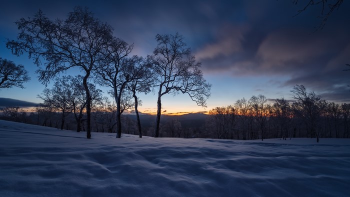 4K, winter, outdoors, sunlight, nature, ice, snow, cold, trees, dark, sky