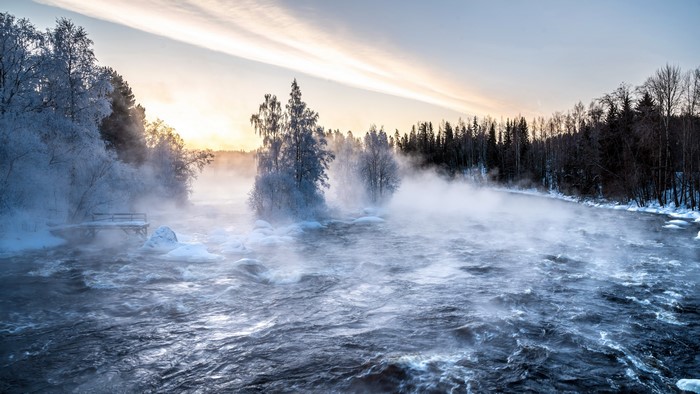 4K, winter, snow, trees, outdoors, nature, ice, cold