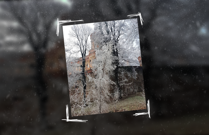 photography, winter, forest, palace
