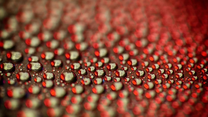 depth of field, red, macro, water drops, colorful, water, closeup