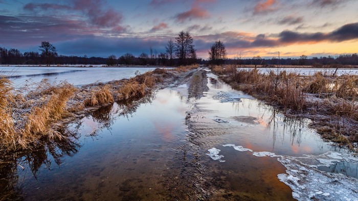 4K, nature, cold, outdoors, winter, ice