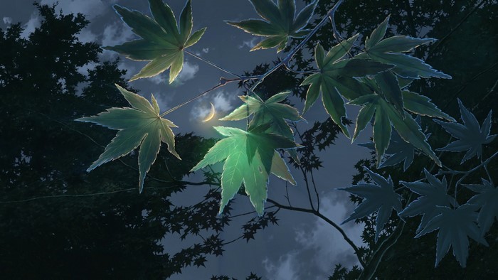 4K, leaves, plants, Moon, outdoors, animation, trees, sky