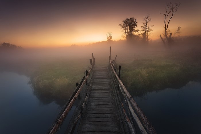 bridge, nature, grass, sunrise, landscape, winter, outdoors, mist, water, photography, Pawel Olejniczak
