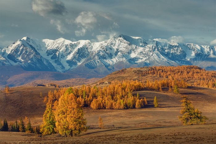 nature, landscape, snowy peak, forest, mountains, trees, fall, Vadim Kononenko