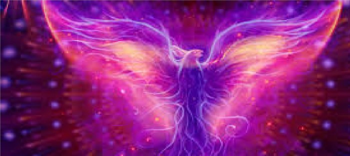 colorful, phoenix, artwork