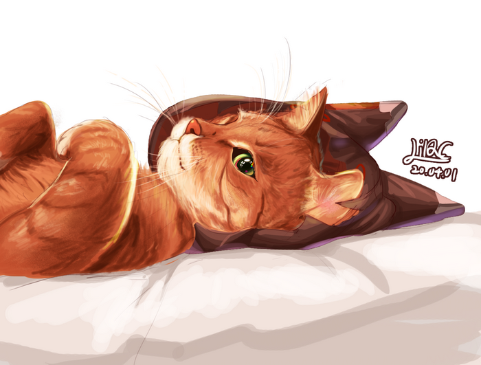 Chii Aruel, cats, mammals, Gatos anime, animal eyes, animals