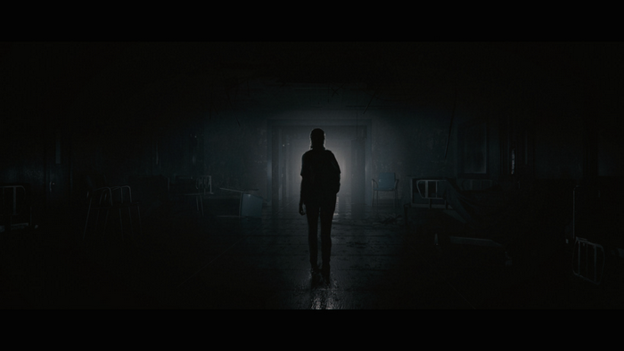 apocalyptic, PlayStation 4, video games, The Last of Us 2, The Last of Us, Naughty Dog, artwork