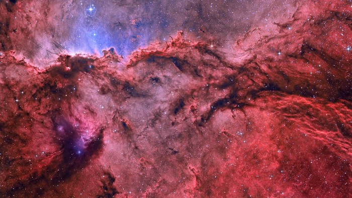 nebula, space, red