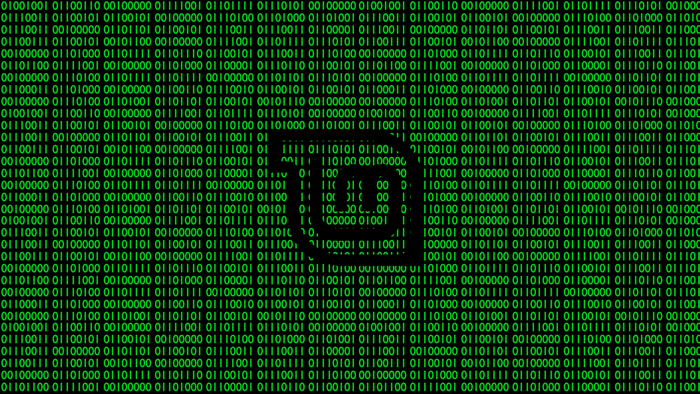 Green binary code with Linux Mint logo