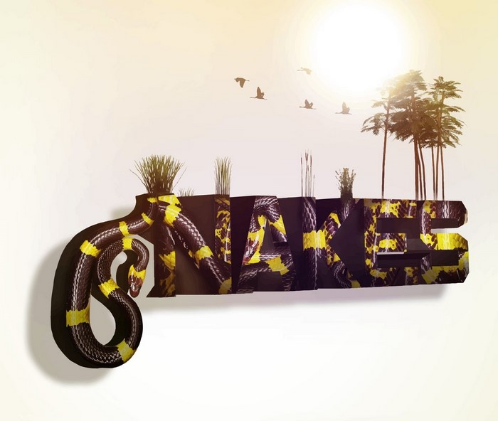 poster, graphic design, digital art, artwork, animals, illustration, snake