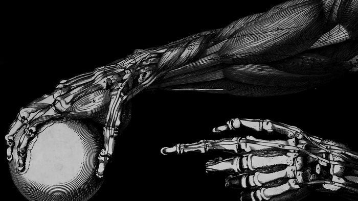 4K, bones, skeleton, sphere, monochrome, drawing, black background, finger pointing, muscles