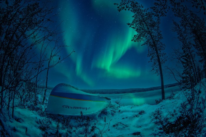 aurorae, night, snow, winter, stars, boat, landscape, lake, trees, snow covered, sky