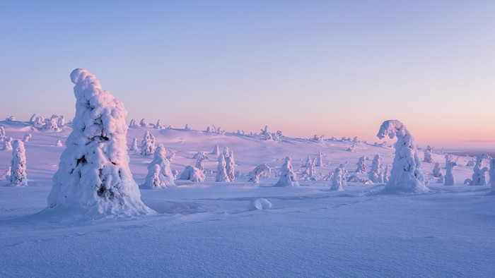 winter, nature, landscape, trees, sunset, snow, sky