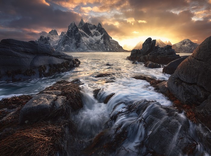 reeds, Roksolyana Hilevych, rocks, Norway, waterscape, seaweed, photography, waves, mountains, sunset, foam, sea foam, outdoors, nature, snowy peak