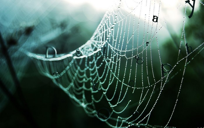 symbols, water drops, dew, spider webs, spiderwebs, nature