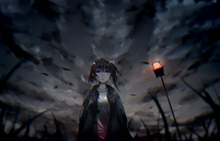 anime girls, shiro no kitsune, anime