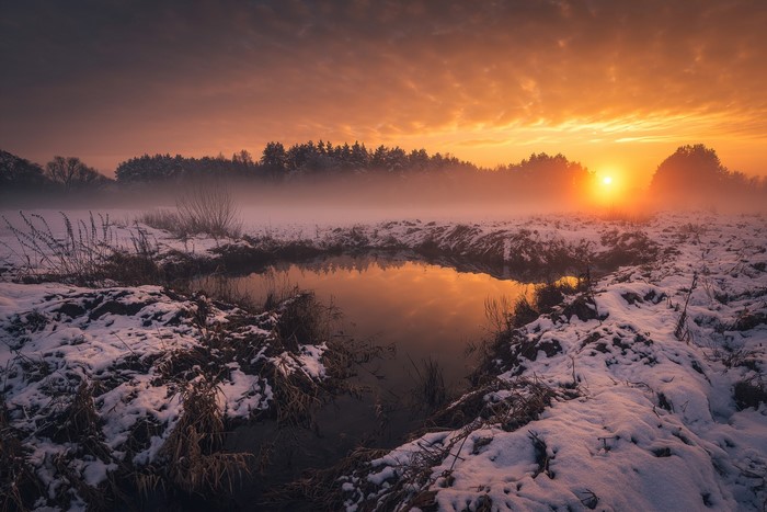 trees, mist, Michał Tomczak, clouds, photography, sunset, snow covered, snow, water, outdoors, landscape, nature, Poland, sky