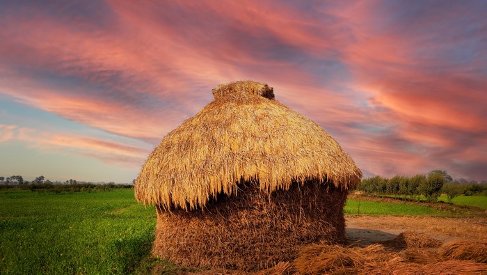 4K, dusk, field, farm, nature