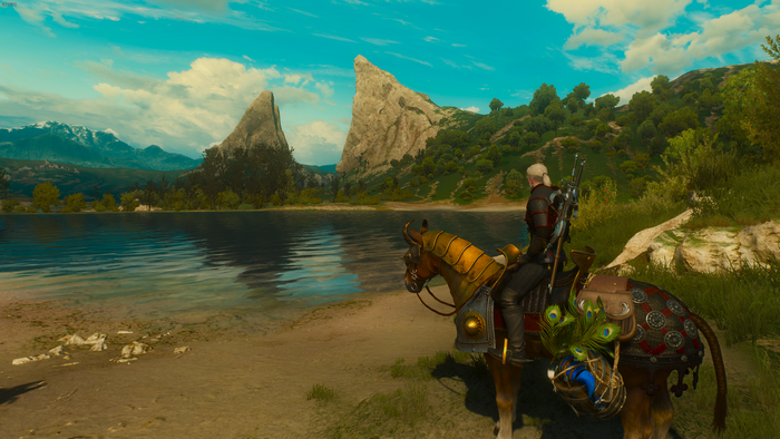 The Witcher 3, screen shot, RPG, PC gaming, video games