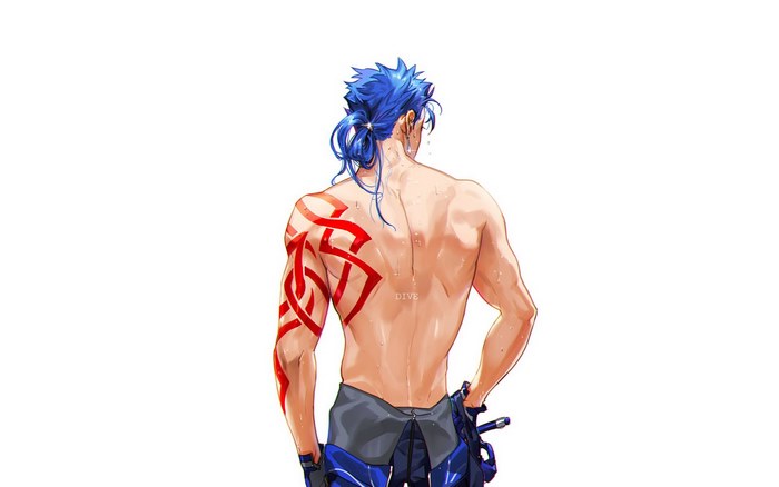 Cu Chulainn from Fate/Zero
