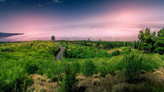 Winding Road Through Green Landscape