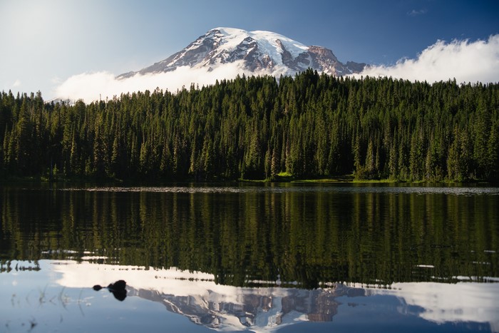 4K, nature, pine trees, trees, forest, mountains, landscape, lake, snowy mountain