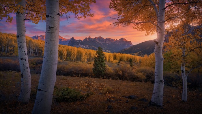 clouds, landscape, sunset, nature, mountains, birch, fall, trees, sky