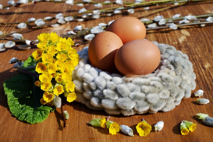 Easter eggs in a nest with yellow flowers and pussy willows