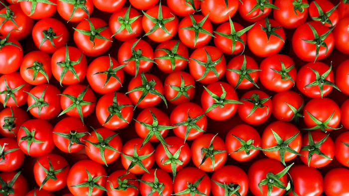 Fresh Red Tomatoes