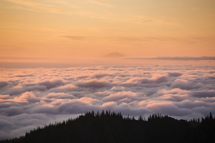 sky, pine trees, nature, forest, clouds, aerial view, trees, landscape