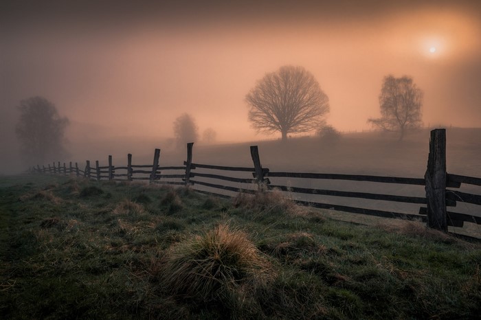 field, outdoors, mist, fence, sunlight, grass, Luboš Prchal, photography, landscape, trees, dappled sunlight