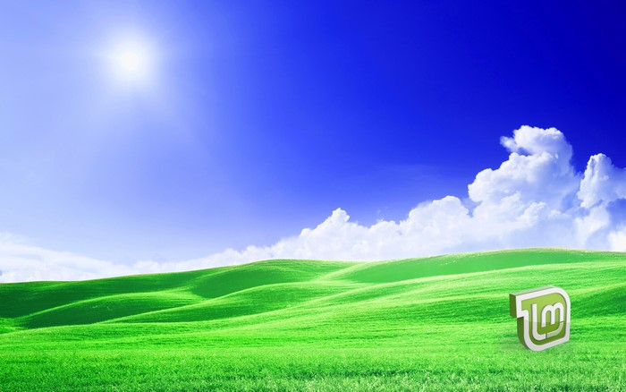 4K Scenic View of Green Hills with Linux Mint Logo