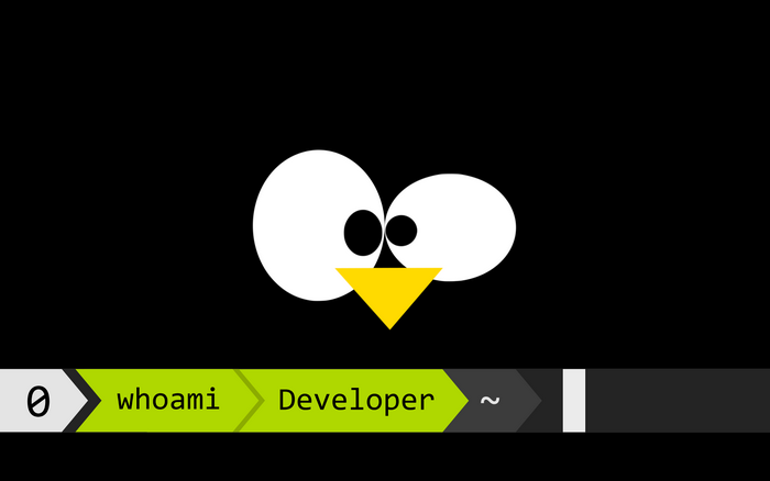 development, black background, screen shot, Tux, terminals, simple background, Linux