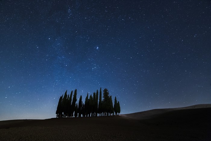 stars, nature, night, trees, outdoors, 500px, sky, night sky