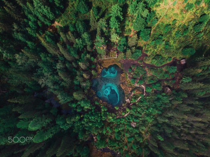 nature, 500px, forest
