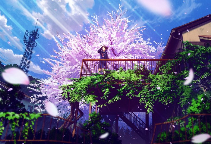 sky, anime girls, school uniform, Mocha, house, cherry blossom, anime