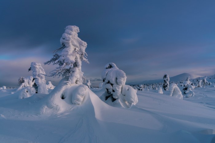cold, nature, winter, Russia, snow, outdoors, ice