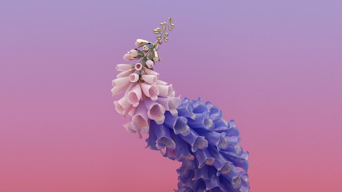 4K, EDM, Flume, delphinium, foxglove