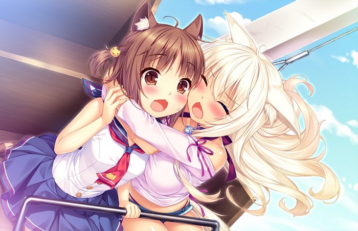 animal ears, hugging, Sayori, Azuki (Neko Para), Coconut (Neko Para), ash blonde, Neko Para, anime girls, brunette, blush
