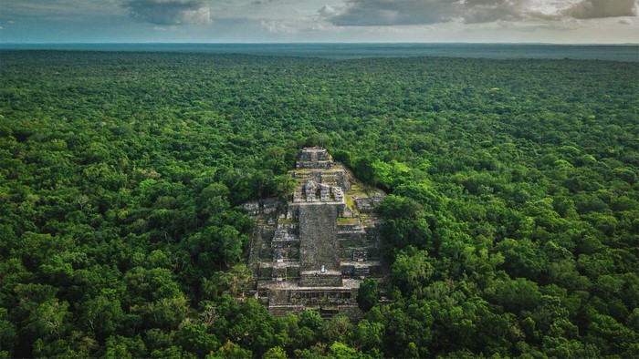 ruins, Calakmul, nature, pyramid, jungle, landscape, ruin, archeology, forest, Mexico, Maya (civilization)
