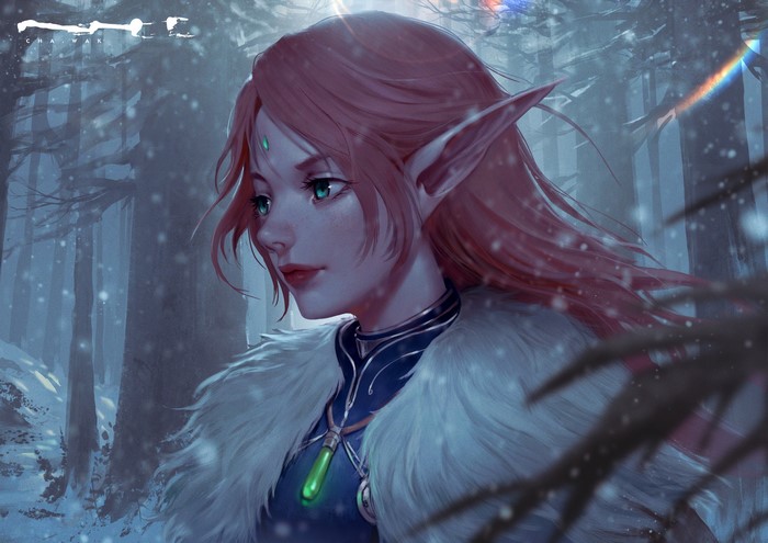 fantasy art, elf ears, concept art, digital art, illustration, fantasy girl, elves, CHA WAK, 2D, ArtStation
