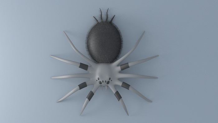 spider, Arachnid, 3D