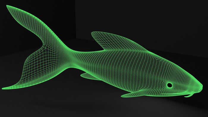3D, animals, digital art, CGI, black background, fish, simple background