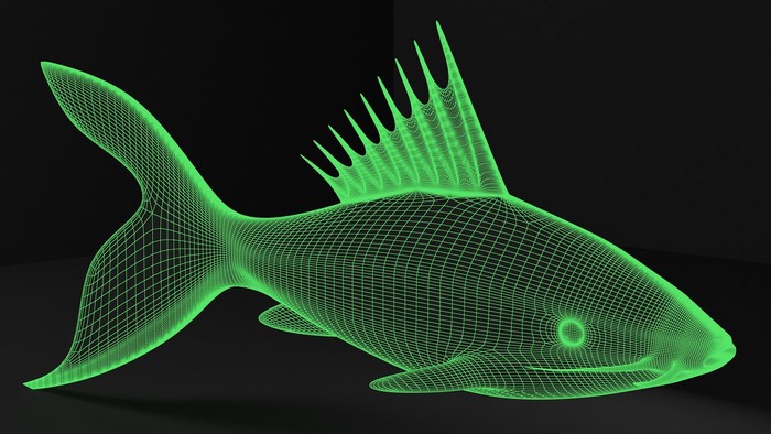 CGI, simple background, fish, 3D, digital art, green, animals, black background