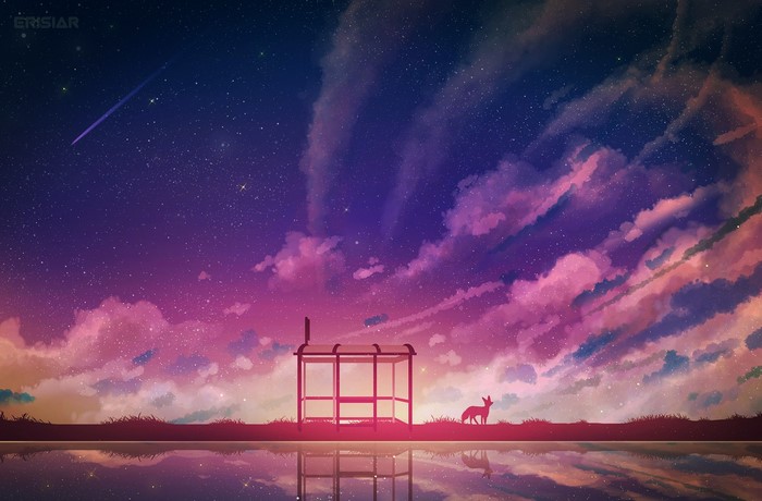 Fox and bus stop under starry sky
