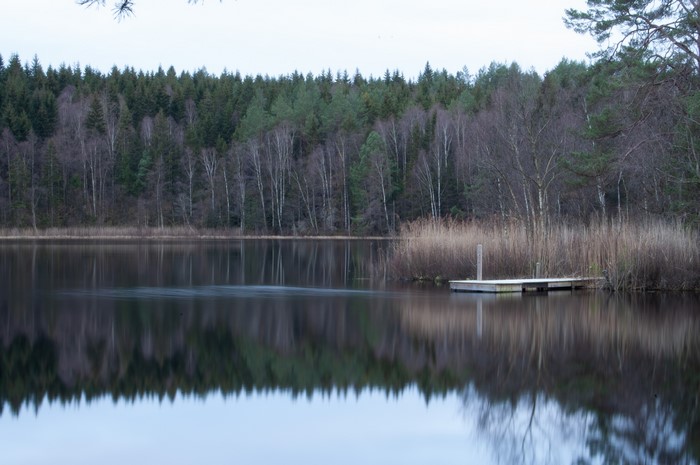 Wooden jetty on a calm lake with a forest reflection