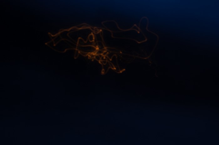 Abstract orange light trails on dark blue background