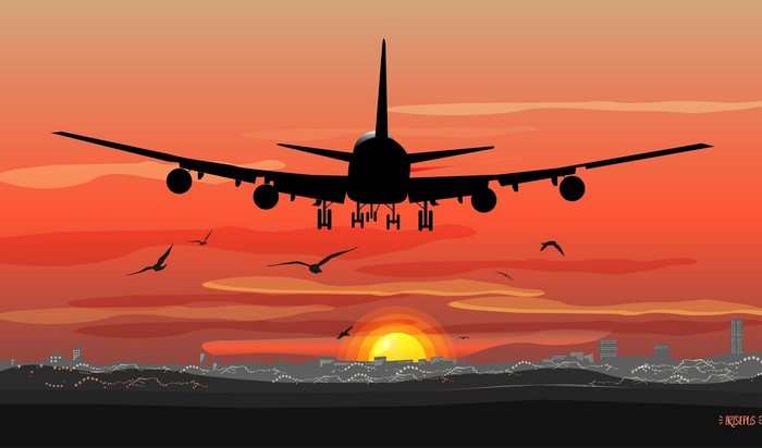 Airplane landing over cityscape at sunset with birds