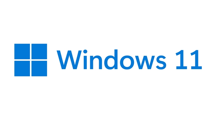 Windows 11 Logo